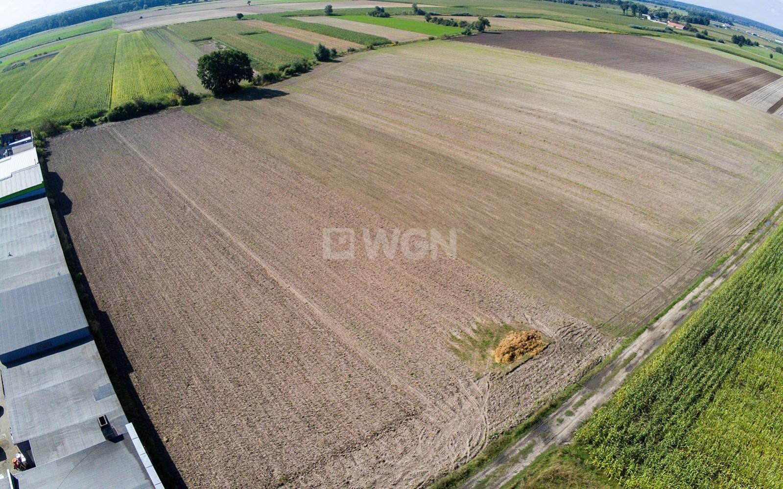 sprzedam działka Dębno Polskie