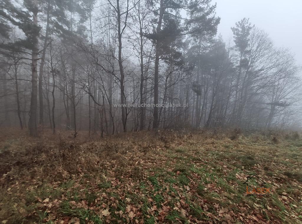 sprzedam działka Gorzeń Dolny