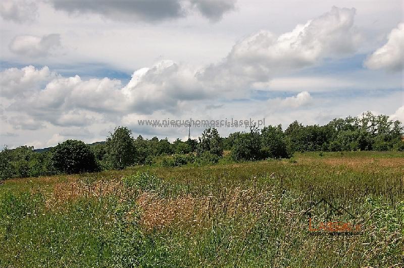 sprzedam działka Skawce