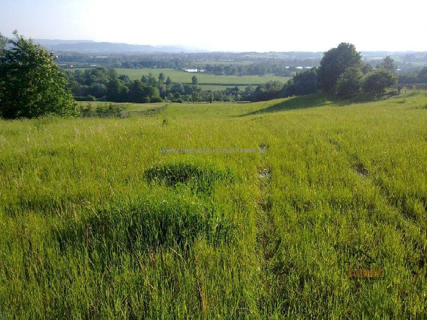 sprzedam działka Witanowice