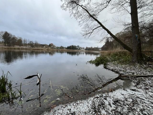 sprzedam działka Szczecin