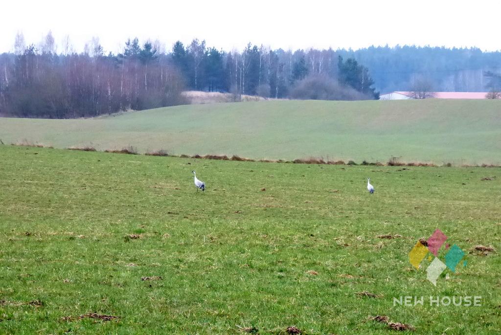 sprzedam działka Gady