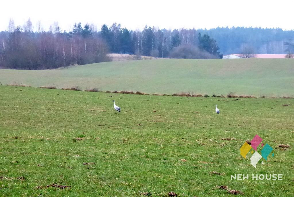 sprzedam działka Gady