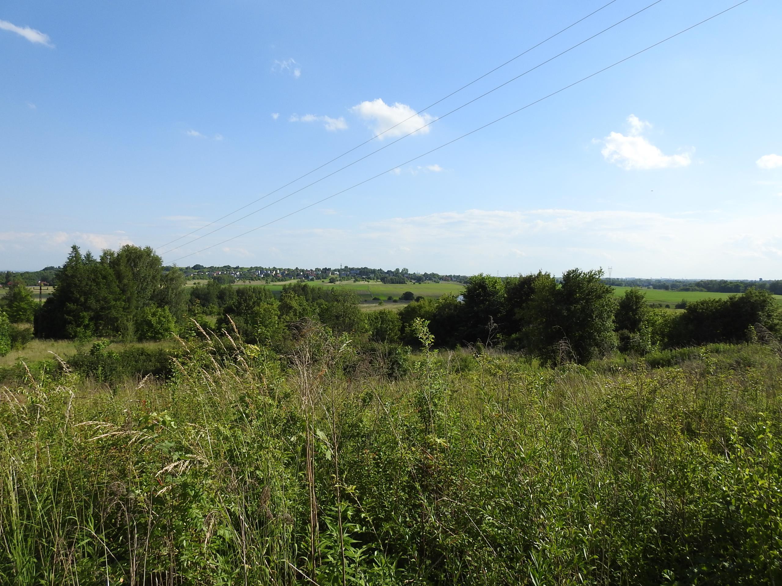 sprzedam działka Dobieszowice