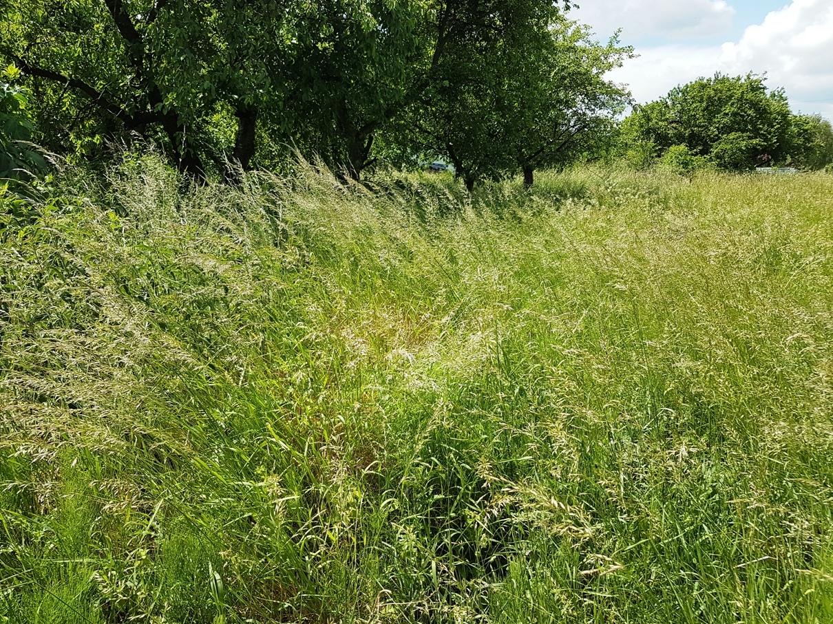 sprzedam działka Rokietnica