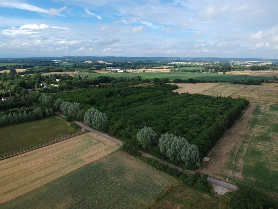 sprzedam działka Wełtyń