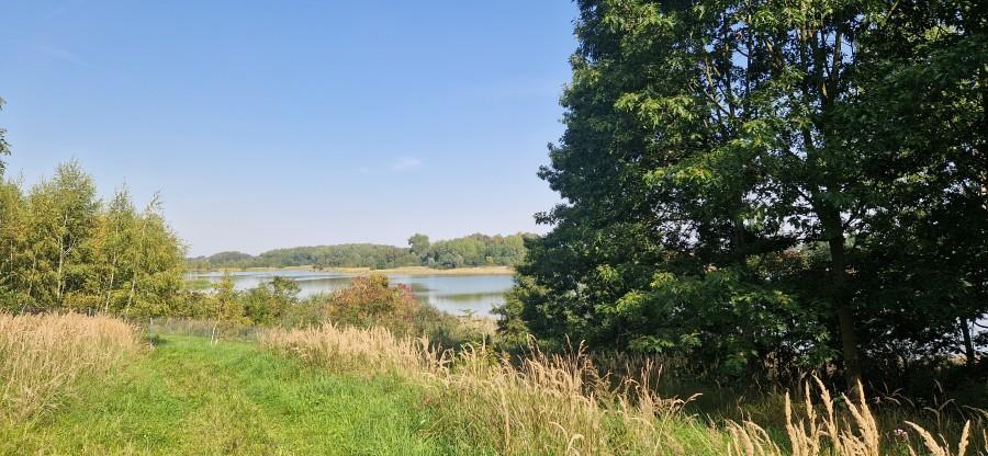 sprzedam działka Kolonia Dolna-grabowo