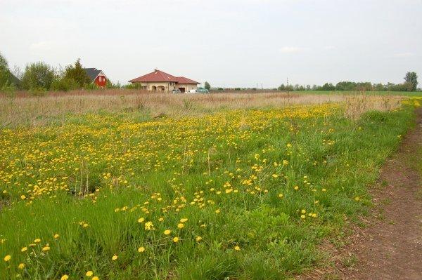 sprzedam działka Mokronos Górny