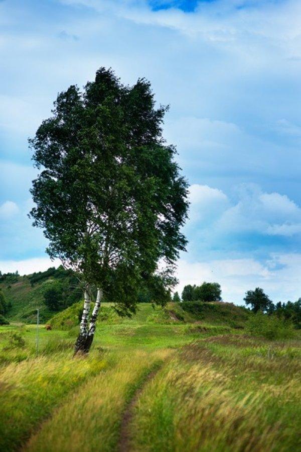 sprzedam działka Częstochowa