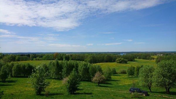 sprzedam działka Kalinowo