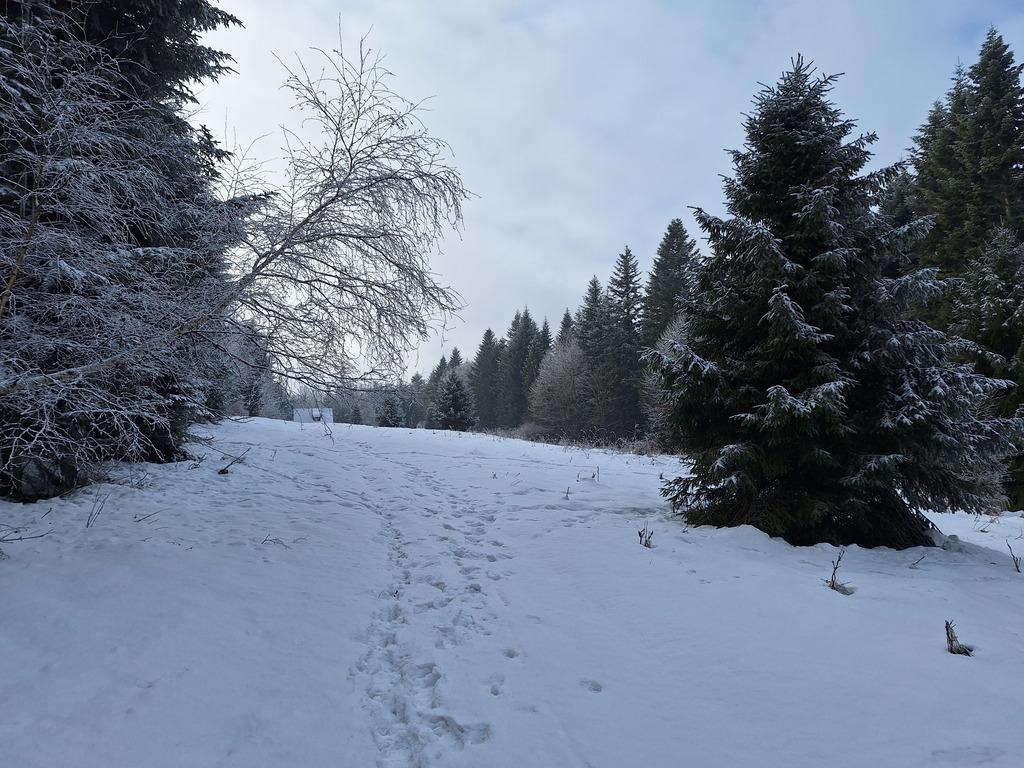 sprzedam działka Sucha Beskidzka