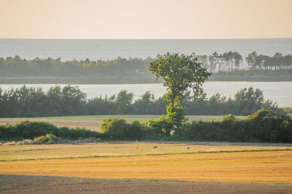 sprzedam działka Kopnica