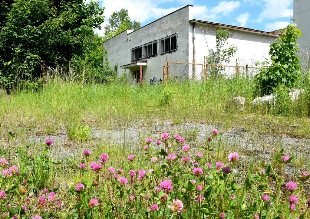 sprzedam działka Kowary