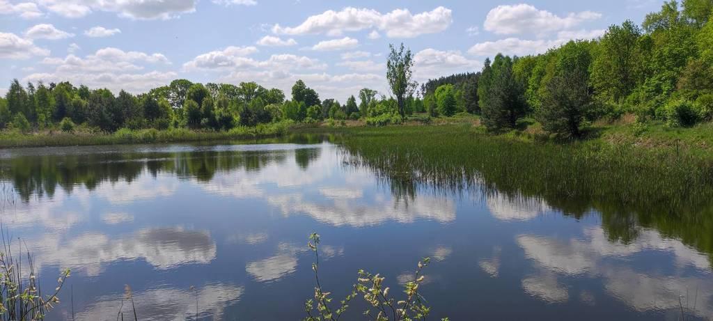 sprzedam działka Sieraków