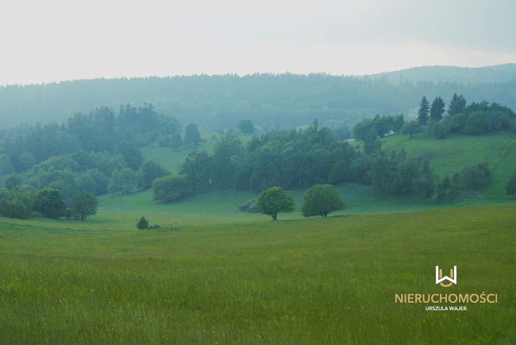 sprzedam działka Głuszyca