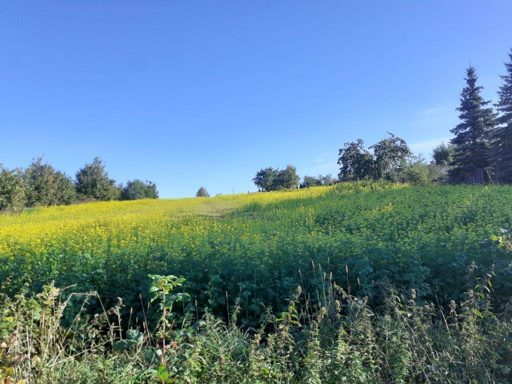 sprzedam działka Dziećmorowice