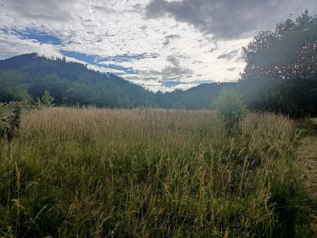 sprzedam działka Jedlina-zdrój