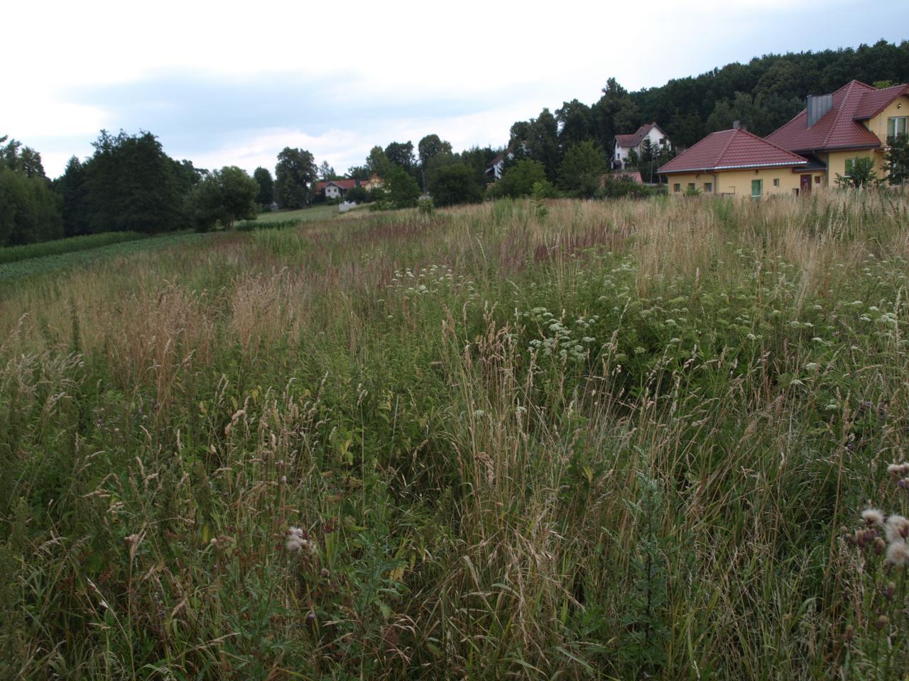 sprzedam działka Dzierżoniów (Gm.)