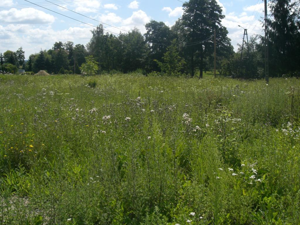 sprzedam działka Dzierżoniów (Gm.)