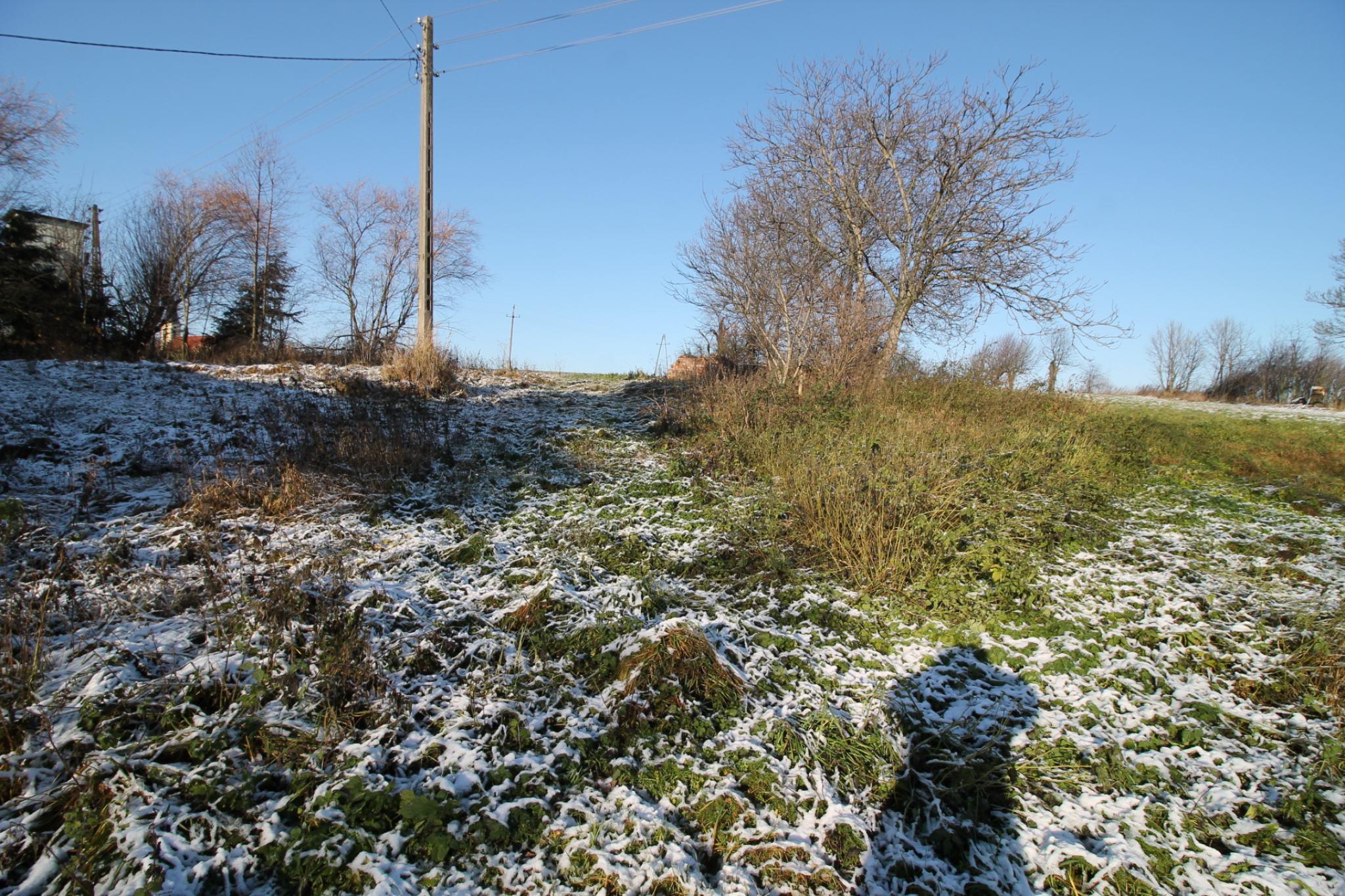 sprzedam działka Ziębice