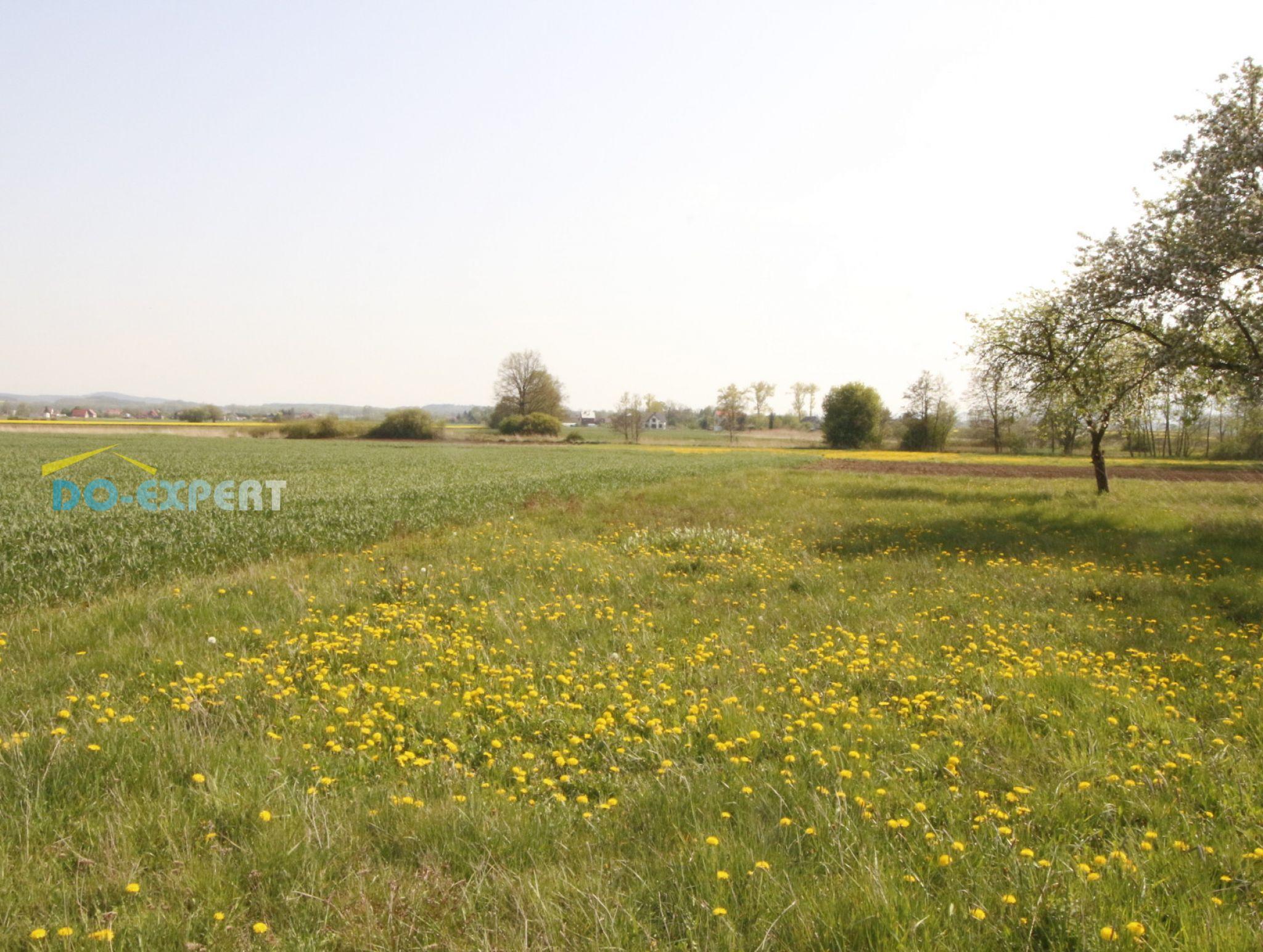 sprzedam działka Dzierżoniów