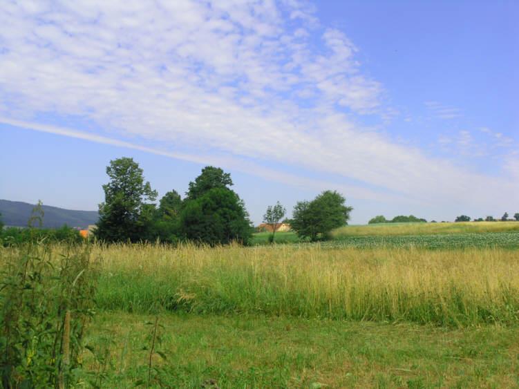 sprzedam działka Drogoszowice