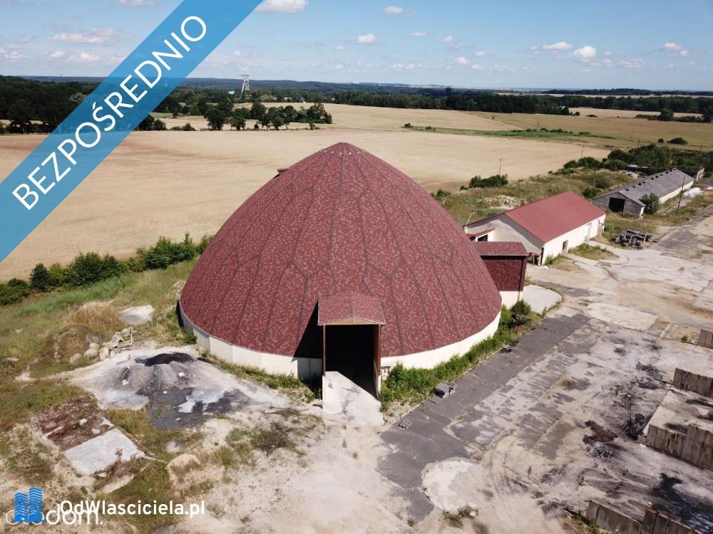 sprzedam lokal użytkowy Tarnówek